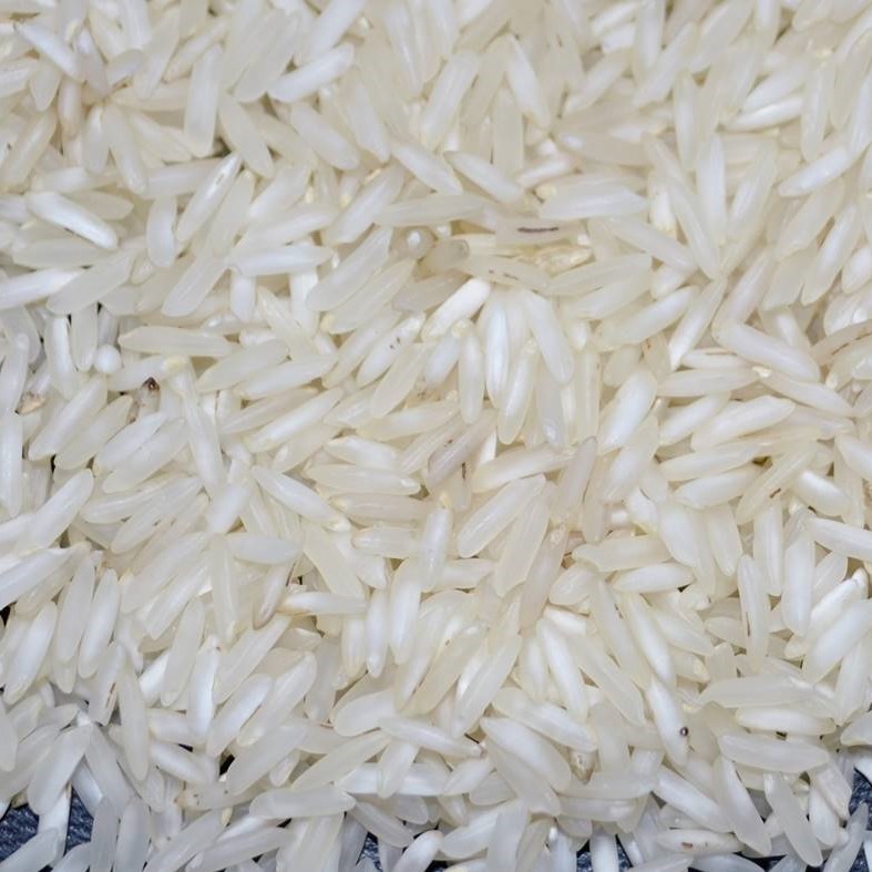 PR-11 Steam Rice